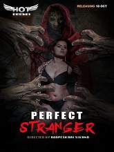Perfect Stranger (Hindi)
